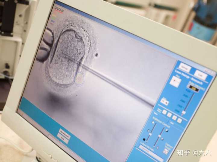 2023泰国正规试管医院排名榜,泰国有哪些知名的试管婴儿医生