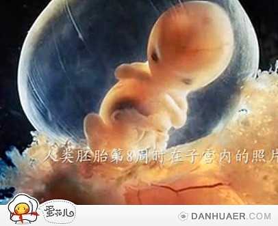 孕妇能不能吃生西红柿_香港孕宝国际代孕